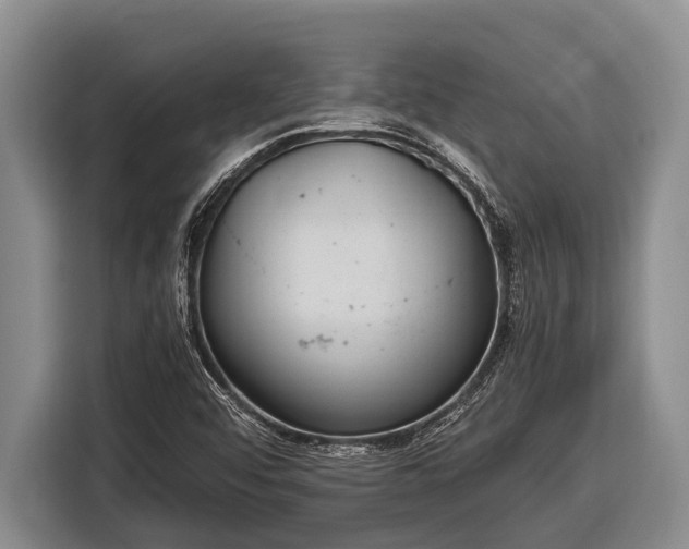 X0000116861456200912291250