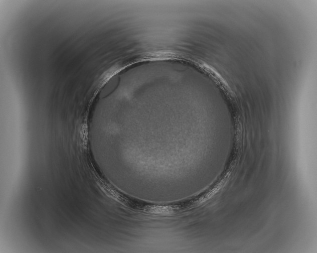 X0000116861457200912291250