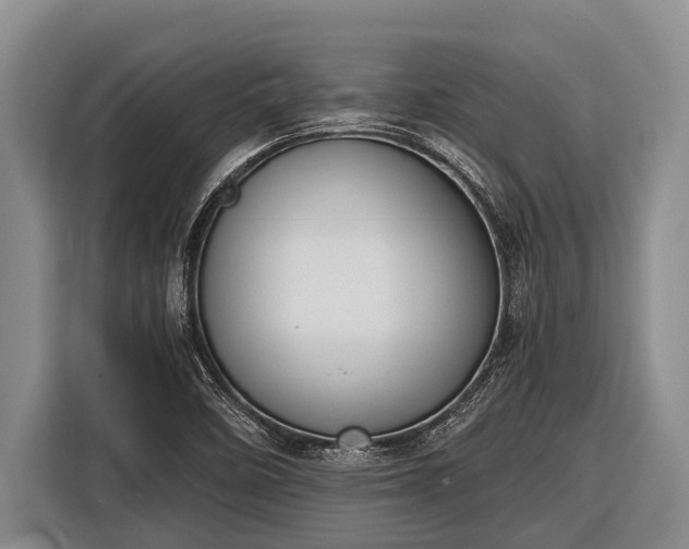 X0000116861458200912291250