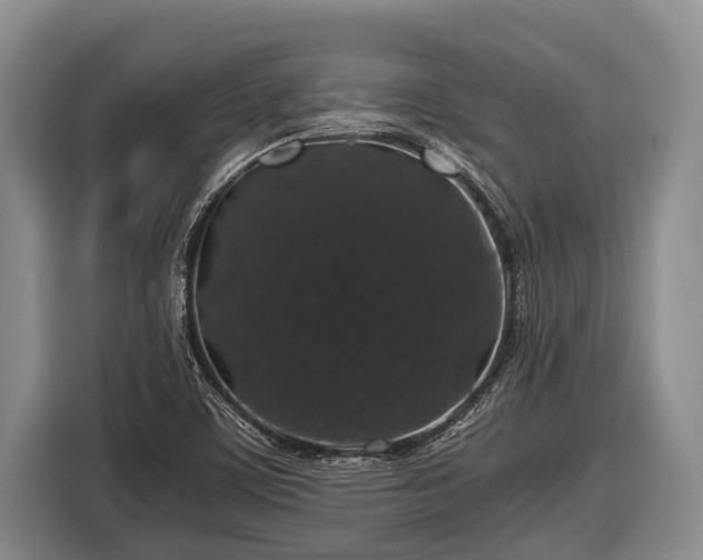 X0000116861459200912291250