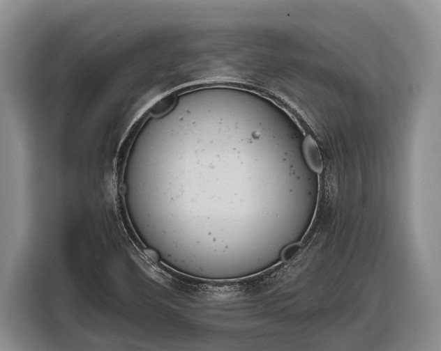 X0000116861460200912291250