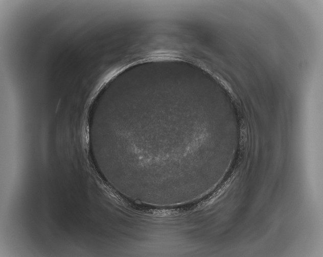 X0000116861461200912291250