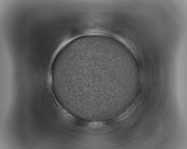 X0000116861462200912291250
