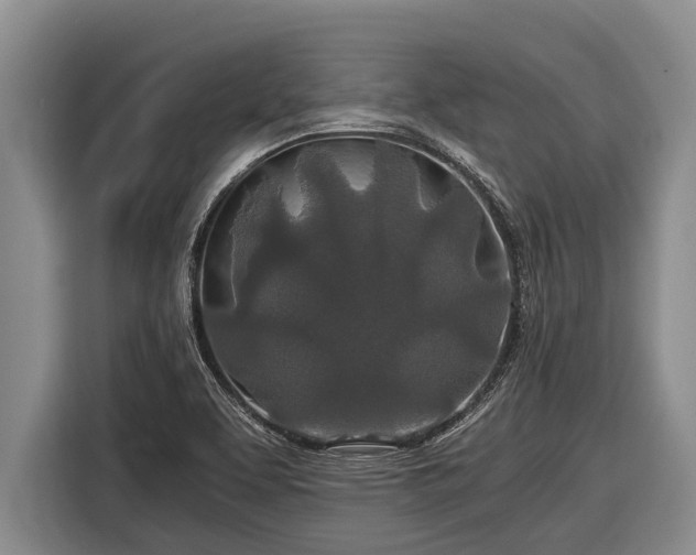 X0000116861463200912291250