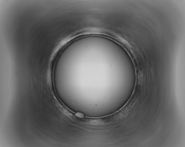 X0000116861464200912291250