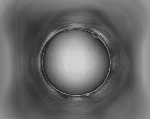 X0000116861467200912291250