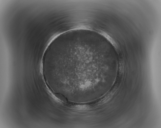 X0000116861468200912291250