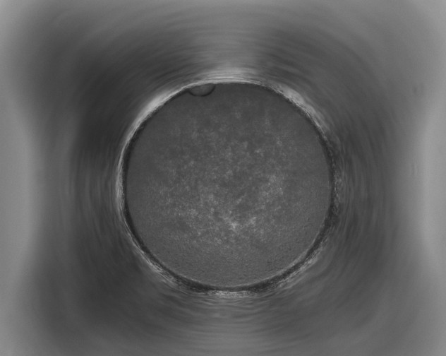 X0000116861469200912291250
