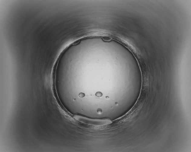 X0000116861471200912291250
