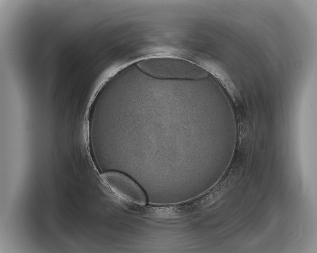X0000116861472200912291250