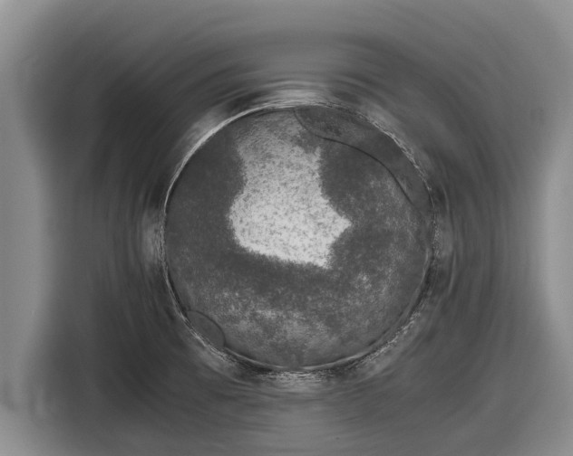 X0000116861473200912291250