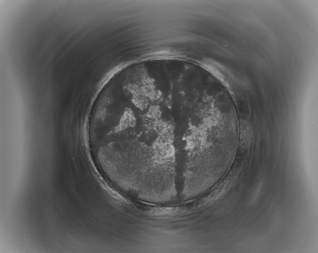 X0000116861474200912291250