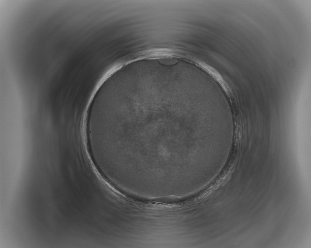 X0000116861475200912291250