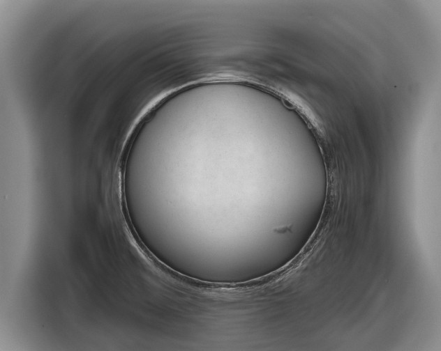 X0000116861476200912291250