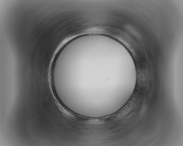 X0000116861478200912291250