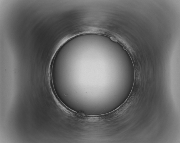 X0000116861479200912291250