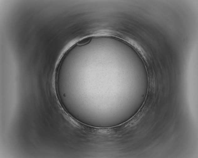X0000116861480200912291250