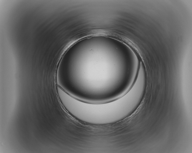 X0000116861481200912291250
