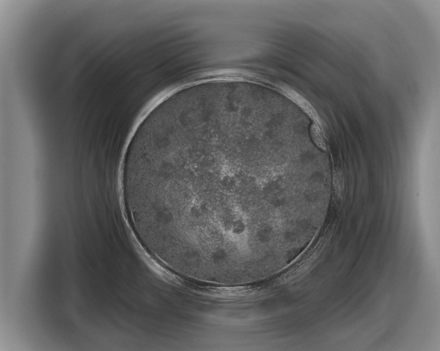 X0000116861482200912291250
