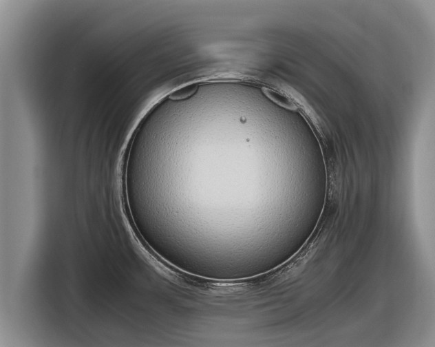 X0000116861483200912291250