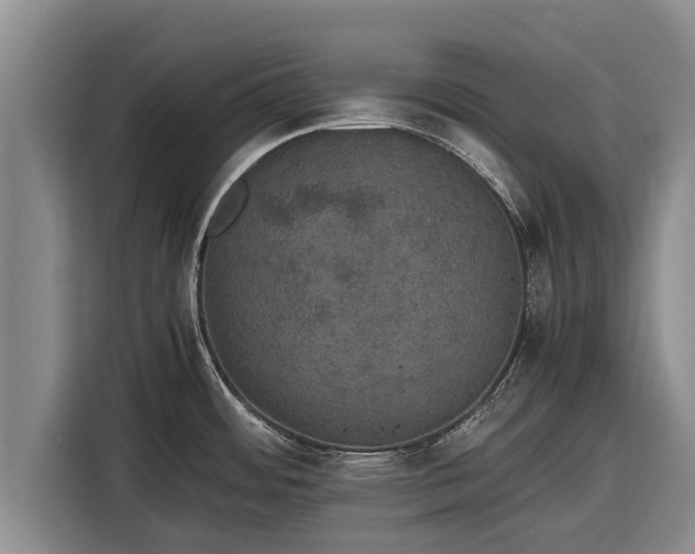 X0000116861484200912291250