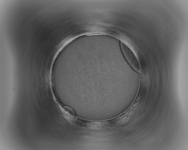 X0000116861485200912291250