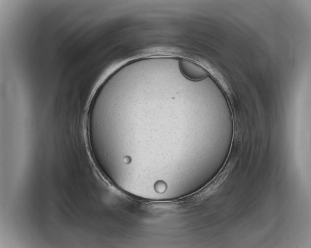 X0000116861486200912291250