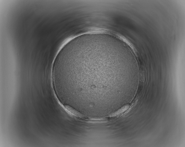 X0000116861487200912291250
