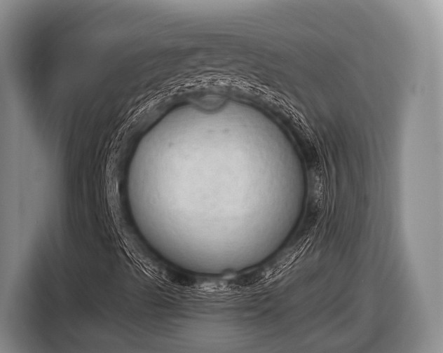 X0000116861489200912291249