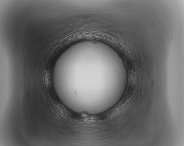 X0000116861490200912291249