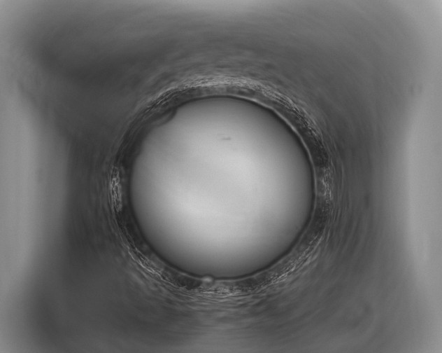 X0000116861493200912291249