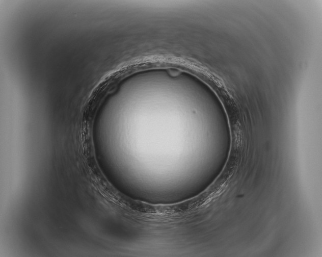 X0000116861494200912291249