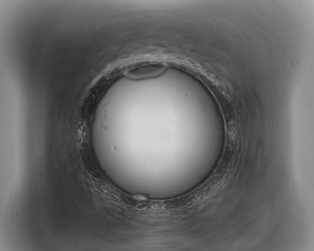 X0000116861495200912291249