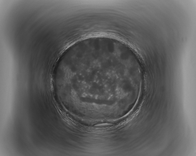 X0000116861497200912291249