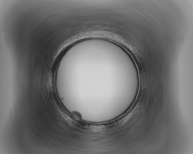 X0000116861498200912291249