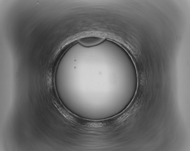 X0000116861499200912291249