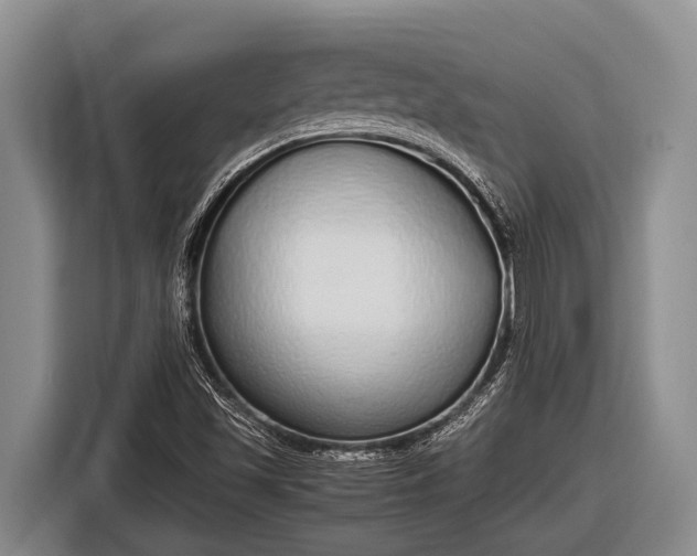 X0000116861501200912291249