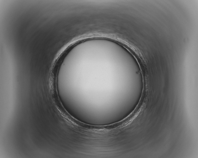 X0000116861502200912291249