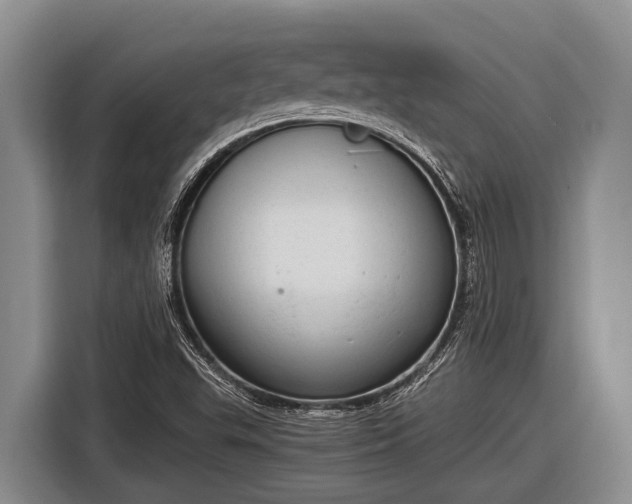 X0000116861503200912291249