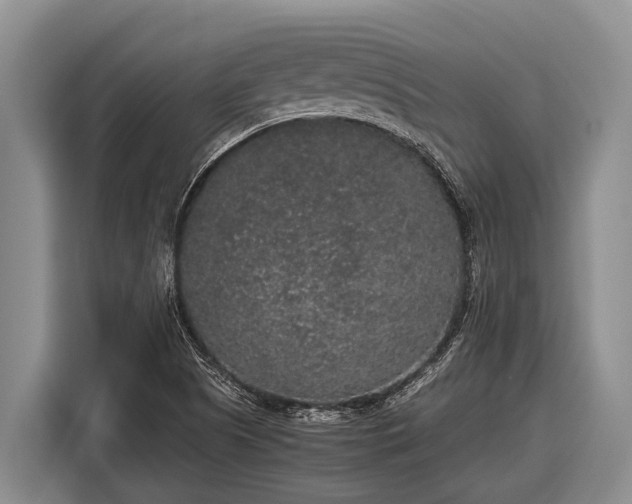 X0000116861505200912291249