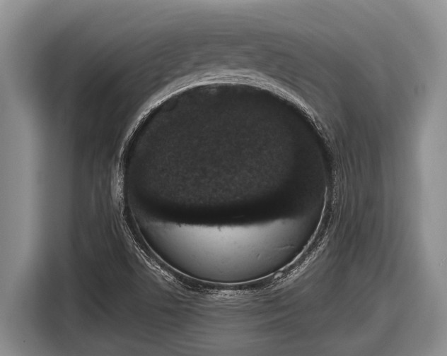 X0000116861506200912291249