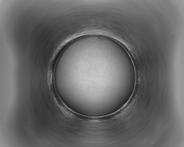 X0000116861507200912291249