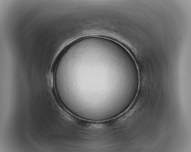 X0000116861509200912291249