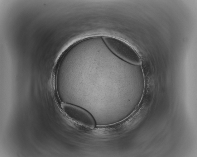 X0000116861510200912291249