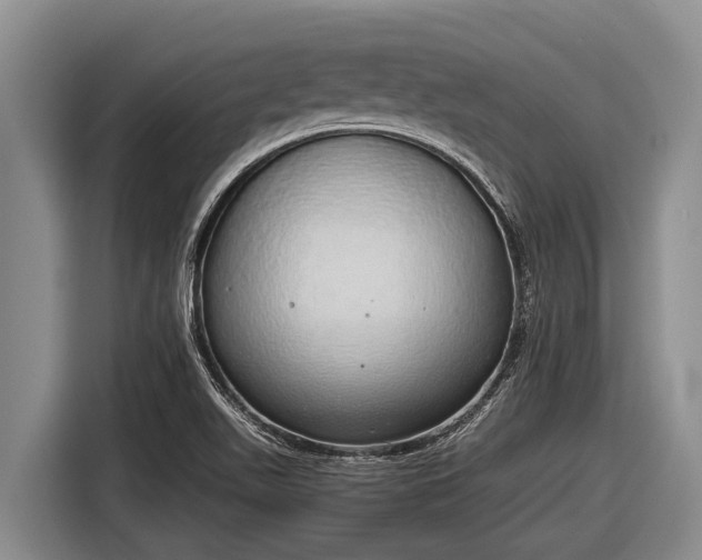 X0000116861511200912291249