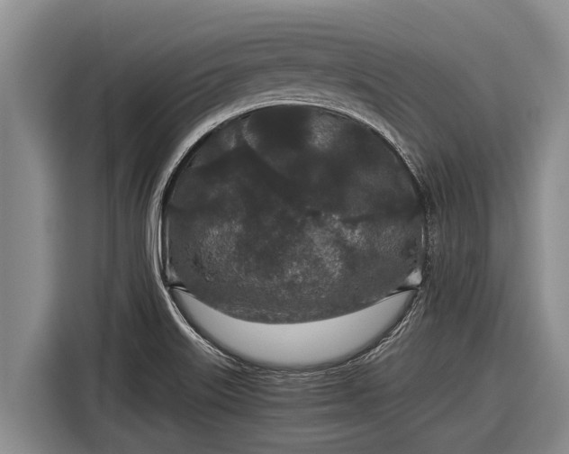 X0000116861515200912291249