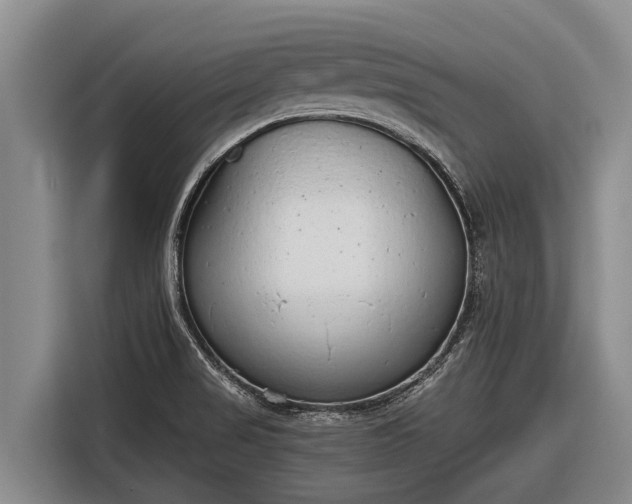X0000116861517200912291250