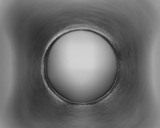 X0000116861518200912291250