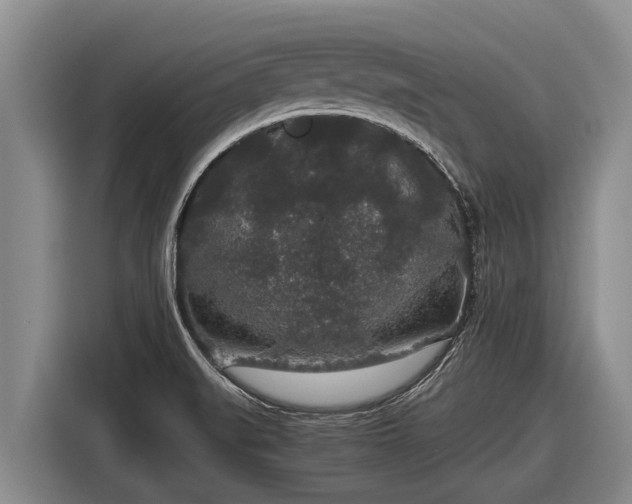 X0000116861519200912291250