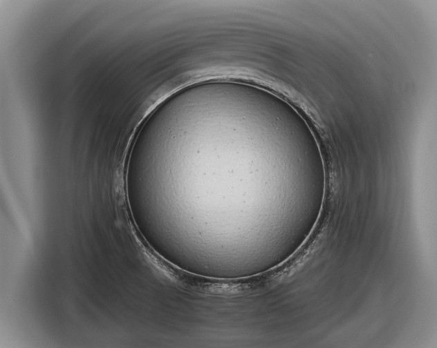 X0000116861521200912291250